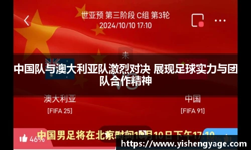 NG体育官网