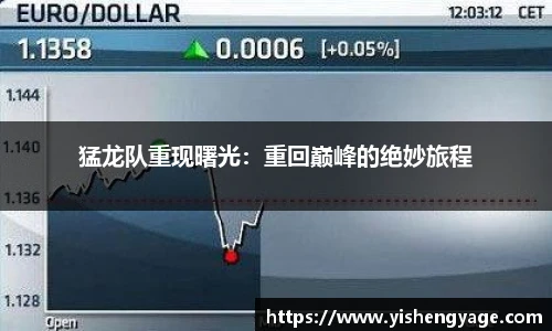 猛龙队重现曙光：重回巅峰的绝妙旅程